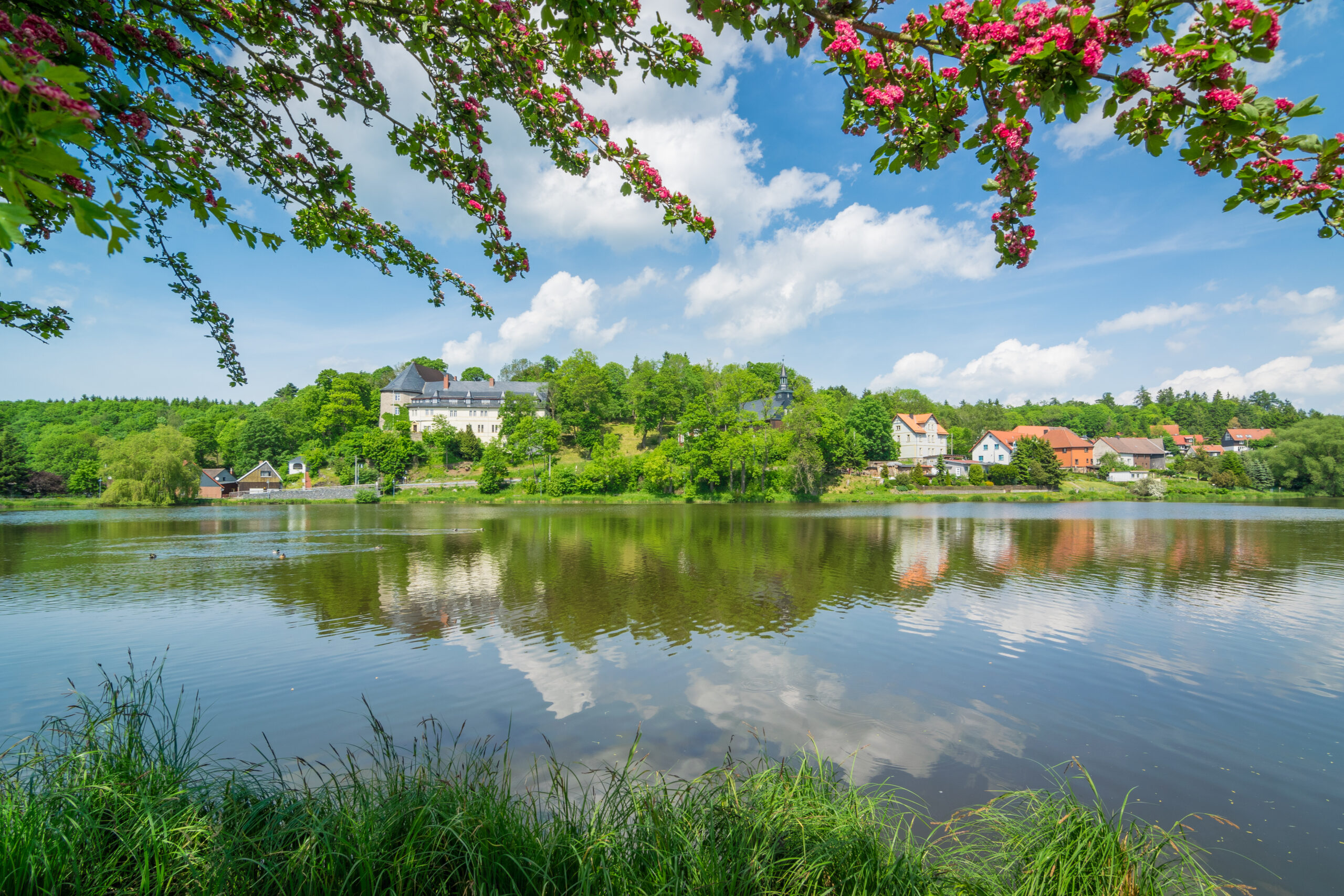 Sommer am See in Stiege - Harz in Deutschland – © kentauros - stock.adobe.com