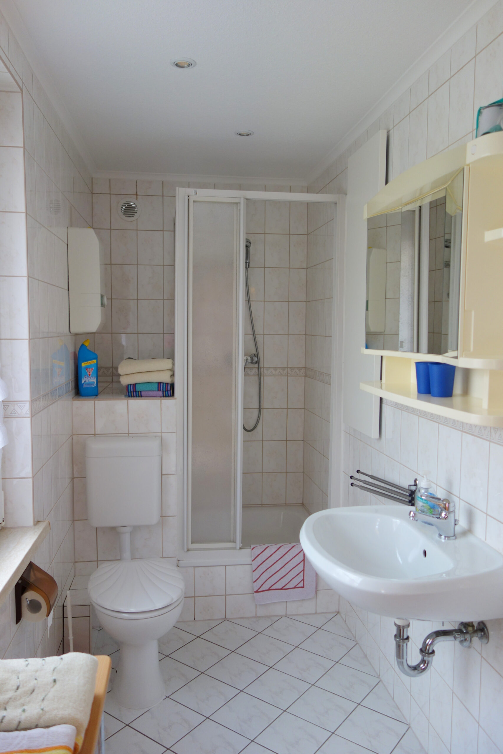 Nelius Ferienhaus Harztour Bad Dusche